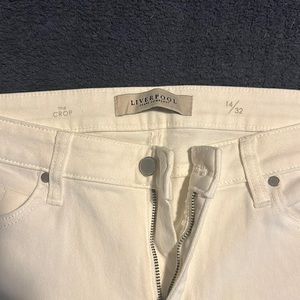 NWT Liverpool The Crop Jeans Distressed